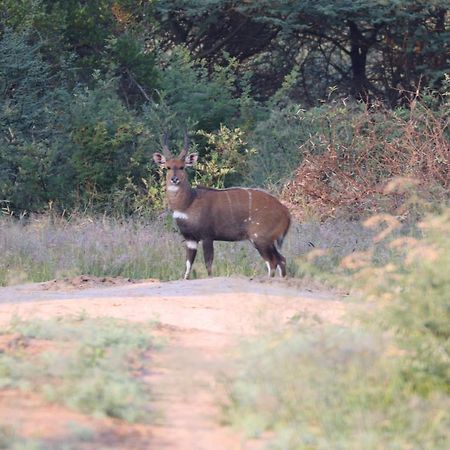Ngangane Lodge & Reserve Francistown Exterior foto