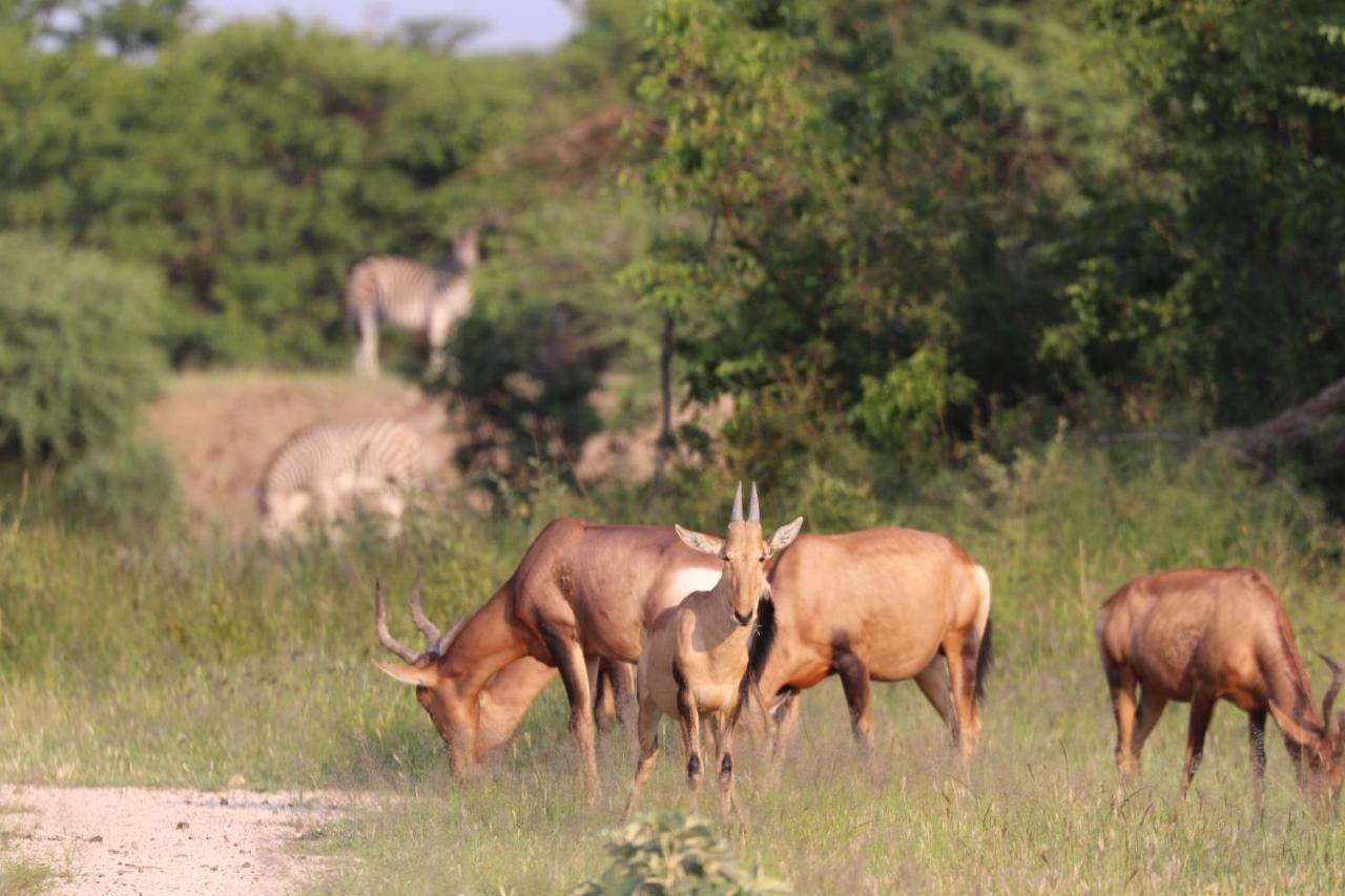 Ngangane Lodge & Reserve Francistown Exterior foto